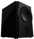 Perlisten Audio R210s Subwoofer