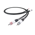 SignatureX Tuned ARAY Analogue RCA
