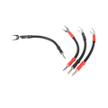 Signature Links ChordOhmic